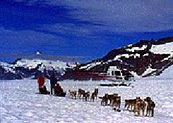 Dogsled and Helicopter Tour