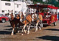 Horse Drawn Trolley